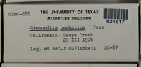 Image Associated With the Occurence
